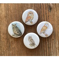 Magnete "Eulen" 4Er Set Magnete "Eulen" 4Er Set von NatureToPin