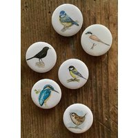 Magnete Vögel 3 von NatureToPin