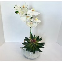 Dekorative Pflanzer in Jing De Zhen Transluzente Reis Korn Teekanne Mit Einer Weißen Seide Orchidee von NaturelandCandles