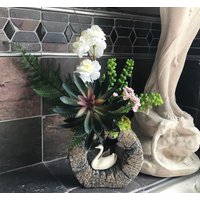 Dekorativer Bonsai Übersetzer in Einzigartiger Runder Steinvase Mit Rosa Und Weißen Blumen Schwan Dekorativer Bonsai Übersetzer in Einzigartiger Runder Steinvase Mit Rosa Und Weißen Blumen Schwan von NaturelandCandles