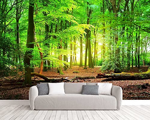 Fototapete 3D Effekt Tapete Urwald Regenwald Sonnenlicht 3D Tapeten Wandbilder Wohnzimmer Schlafzimmer Kinderzimmer Dekoration Wanddeko von Naturempress