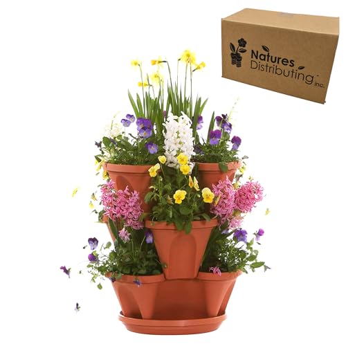 Nancy Janes Stacking Planters P1360 P1361 Pflanzgefäß, Terrakotta, 30,5 cm von Natures Distributing