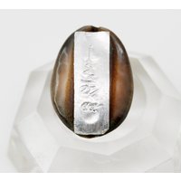 Bia Gae | Cowrey Money Shell Bringt Geld & Reichtum Glück von NaturesTreasureSG