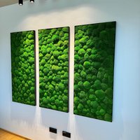 Moooswand Kugelmoos - Mooswand Selber Machen Pflanzenwand Akustikpaneel Ballenmoos Moospaneele Wandpaneele Moosplatte Moooswand Kugelmoos - Mooswand Selber Machen Pflanzenwand Akustikpaneel Ballenmoos Moospaneele Wandpaneele Moosplatte von NaturewallsDE