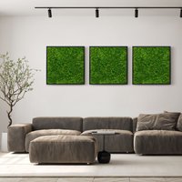 Moosbild Islandmoos Mit Holz-Rahmen - Rentiermoos Konserviertes Moos Akustikbild Mooswand Wandeko Wandbild Pflanzenbild von NaturewallsDE