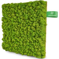Moospaneel Premium - Mooswand Selber Machen Pflanzenwand Akustikpaneel Schallschutz Konserviertes Moos Wandpaneele Moosplatte von NaturewallsDE