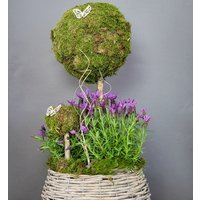 Lavendel-Eingangsdeko Sommerliches Flair Im Korbdesign/Korb Deko Als Geschenk Zum Einzugsgeschenk Oder Einfach Für Pflanzen Fans von Naturgeflechte