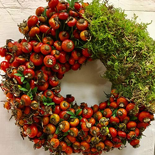 Kranz Herbstkranz für Tür und Tisch Hagebuttenkranz | Türkranz Tischkranz Kerzenkranz Dekokranz | handgebunden aus frischen Hagebutten und Moos | Natur Rot Grün Moosgrün | D 23-25cm Kranz Herbstkranz für Tür und Tisch Hagebuttenkranz | Türkranz Tischkranz Kerzenkranz Dekokranz | handgebunden aus frischen Hagebutten und Moos | Natur Rot Grün Moosgrün | D 23-25cm von Naturgut - Andrea Nehrenberg