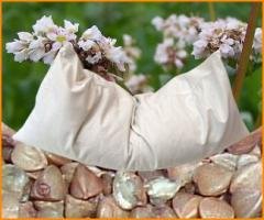 Bio-Buchweizenkissen mit Kissenhülle aus Bio-Baumwolle naturbelassen (40x60) von Naturhaus Kaiser