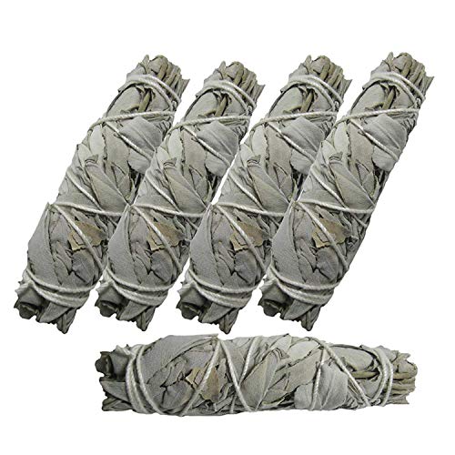 WHITE SAGE 5 x weißer SALBEI Smudge Kräuter Bündel (Kalifornien) zum Räuchern & Ausräuchern für Hausreinigung & Rauhnächte. 6-tlg Set mit Beschreibung & Booklet. 81238 von Naturheilmittel Heilsteine Methusalem GmbH Neu-Ulm