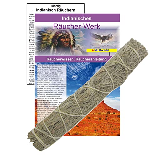 Beifuß zum räuchern Präriebeifuß XXL ca.22cm Wüstenbeifuß für Hausreinigung, Rauhnächte - Räucherset mit Smudge Bündel, Booklet & Beschreibung. 81205 von MyTobaQ