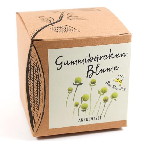 Geschenk-Anzuchtset Gummibärchenblume Geschenk-Anzuchtset Gummibärchenblume von NATUR KRAFTWERK