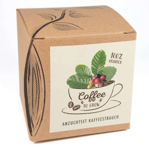Geschenk-Anzuchtset "Coffee-to-grow", Kaffeestrauch aus Eigenanbau, Inklusive Kokostopf und Anleitung von Naturkraftwerk