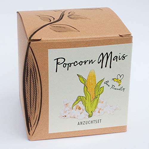 Geschenk-Anzuchtset"Popcorn-Mais" von Naturkraftwerk