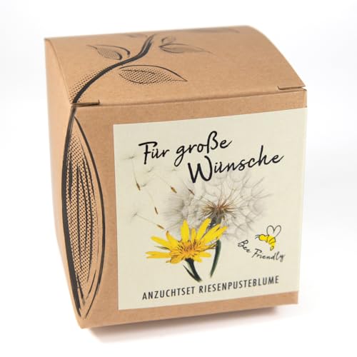 Geschenk-Anzuchtset RIESENPUSTEBLUME inklusive Anzuchttopf, Substrat und Anleitung von Naturkraftwerk