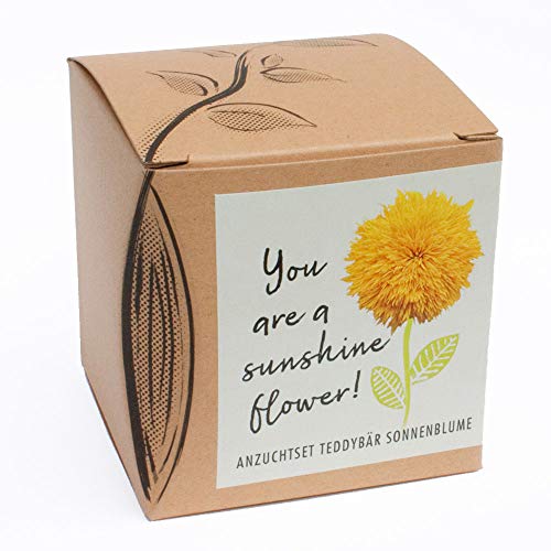 Geschenk-Anzuchtset SUNSHINE FLOWER - Teddybär Sonnenblume, inklusive Anzuchttopf, Substrat und Anleitung Geschenk-Anzuchtset SUNSHINE FLOWER - Teddybär Sonnenblume, inklusive Anzuchttopf, Substrat und Anleitung von NATUR KRAFTWERK