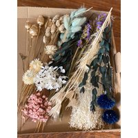 Diy Trockenblumen Diy-Set „Delicate Colours", Diy-Trockenblumenstrauß, Trockenblumenkranz Mit Blauer Distel, Glixia, Hortensie, Strohblumen von Naturlandhandmade