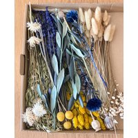 Diy Trockenblumen Diy-Set „Distel", Diy-Trockenblumenstrauß, Trockenblumenkranz Mit Blauer Distel, Oliven-Zweigen, Strohblumen, Phalaris von Naturlandhandmade