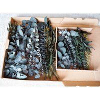 Diy Trockenblumen Diy-Set in „Jungle" Mit Verschiedenem Eukalyptus Trockenblumenstrauß, Trockenblumenkranz Pampasgras, Lagurus, Phalaris von Naturlandhandmade