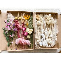 Diy Trockenblumen Diy-Set in Bunten Und Verschiedenen Farben, Diy-Trockenblumenstrauß, Trockenblumenkranz Mit Pampasgras, Lagurus, Phalaris von Naturlandhandmade