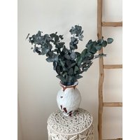 Eukalyptus Cinerea, Konservierter Eukalyptus, Trockenblumen von Naturlandhandmade