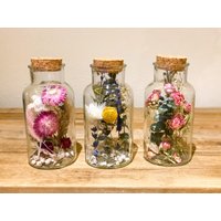 Trockenblumen Im Glas Groß Trockenblumenstrauß 16 cm Hoch von Naturlandhandmade