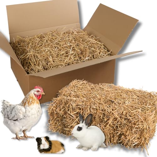 Natursache | Gehäckseltes Bio-Weizen Stroh für Kaninchen Meerschweinchen Hamster & Nager | Nachhaltige Einstreu für Pferde und Hühner | Strohballen für Dekoration I Überstreu für Erdbeeren Natursache | Gehäckseltes Bio-Weizen Stroh für Kaninchen Meerschweinchen Hamster & Nager | Nachhaltige Einstreu für Pferde und Hühner | Strohballen für Dekoration I Überstreu für Erdbeeren von Natursache