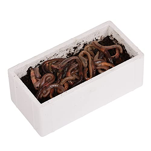 Natursache Terra Forming Paket „Jack“ I Natürlicher Bodenaktivator für Hochbeete und Pflanzkübel für 1-3 m² I Bodenverbesserer-Set mit Styroporbox, 150 STK. Regenwürmer & Einer Anleitung von Natursache