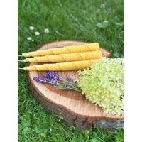 100% Bienenwachskerzen 20cm X 2, 5cm/stabkerzen Spitzkerzen von NaturverliebtVerena