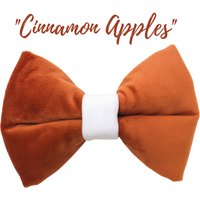 Terrakotta Fall Samt Hundefliege Über Dem Halsband | Weiche Und Ausgefallene Gebranntes Orange Zimt-Äpfelchen Terrakotta Fall Samt Hundefliege Über Dem Halsband | Weiche Und Ausgefallene Gebranntes Orange Zimt-Äpfelchen von Naughtypawscollar