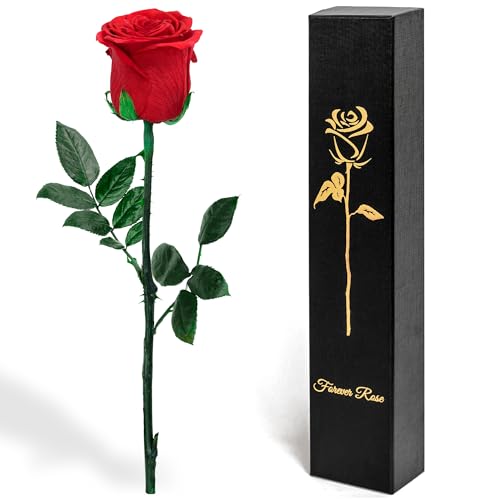 Naunauya Infinity Rose im Glas – Ewige Rose mit Glitzer – Konservierte Rose als Geschenk für Ehefrau, Freundin – Romantisches Blumen Geschenk zum Jahrestag, Valentinstag, Geburtstag von Naunauya