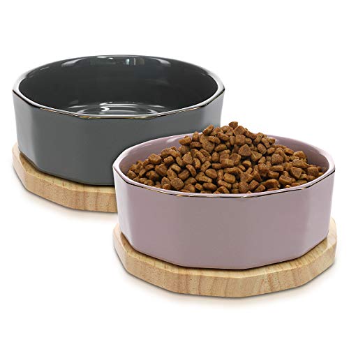 Navaris Fressnapf Futternapf Set aus Keramik - 2X Hundenapf Katzennapf Futterschale mit Unterlage aus Eichenholz - Fressnäpfe für Hunde und Katzen Navaris Fressnapf Futternapf Set aus Keramik - 2X Hundenapf Katzennapf Futterschale mit Unterlage aus Eichenholz - Fressnäpfe für Hunde und Katzen von Navaris