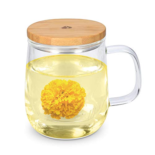 Navaris Teeglas mit Sieb und Bambusdeckel - Teetasse Glas für 500ml Tee - für losen Tee oder Teebeutel - Tasse aus Borosilikatglas mit Deckel von Navaris