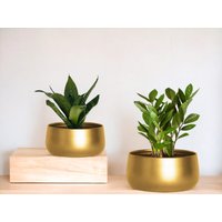 Metall Gold Übertopf Für Zimmerpflanzen Gartendeko Indoor Blumentöpfe Mit Drainageloch von NavneetCrafts