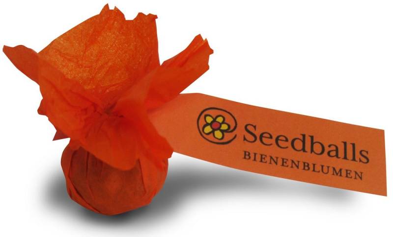 Nawemo Blumenerde Seedballs Nordmanntanne (1 Stk) von Nawemo, (1-St) von Nawemo