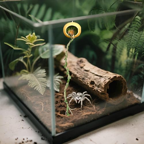 Nbbwwu Zubehör Für Springspinnen Terrarium | Wohnhöhle Für Springspinnen | Terrarien Habitat Verstecke Zubehör Für Reptilien Glattechsen Gliederfüßer von Nbbwwu