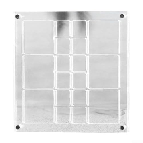 Acryl Mine Seashell Display Box Transparent Shell Collection Case für Mini Muscheln Schmuck Kleine Sammlerstücke Shell Vitrine Muschel Vitrine (A) von NbgrvB