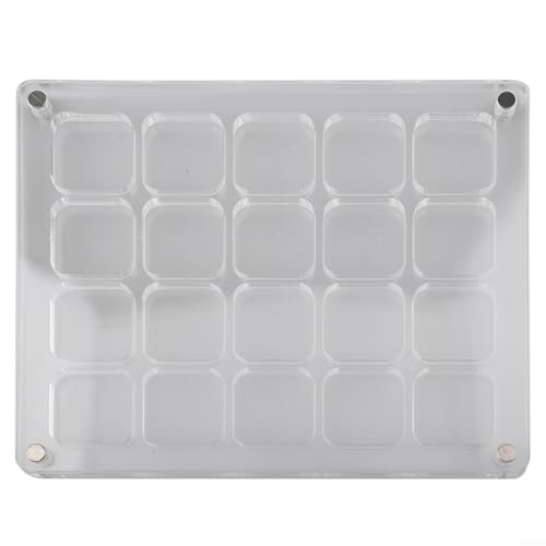 Acryl Mine Seashell Display Box Transparent Shell Collection Case für Mini Muscheln Schmuck Kleine Sammlerstücke Shell Vitrine Muschel Vitrine (C) von NbgrvB