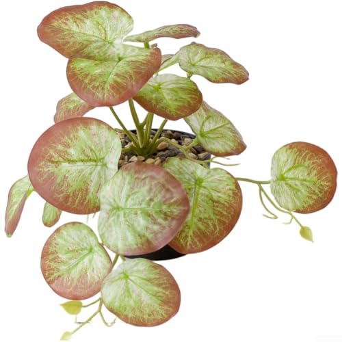 Künstliche Hängepflanze Bonsai mit natürlichem Blatt-Aussehen, stabiles Kunststoffmaterial, geeignet für Innendekoration auf Desktops, Regalen oder hängenden Displays (I) von NbgrvB