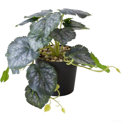 Künstliche Hängepflanze Bonsai mit natürlichem Blatt-Aussehen, stabiles Kunststoffmaterial, geeignet für Innendekoration auf Schreibtischen, Regalen oder hängenden Displays (A) von NbgrvB