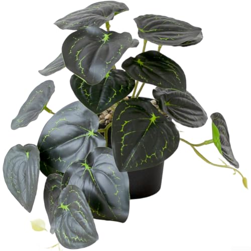 Künstliche Hängepflanze Bonsai mit natürlichem Blatt-Aussehen, stabiles Kunststoffmaterial, geeignet für Innendekoration auf Schreibtischen, Regalen oder hängenden Displays (B) von NbgrvB