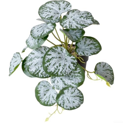 Künstliche Hängepflanze Bonsai mit natürlichem Blatt-Aussehen, stabiles Kunststoffmaterial, geeignet für Innendekoration auf Schreibtischen, Regalen oder hängenden Displays (D) von NbgrvB