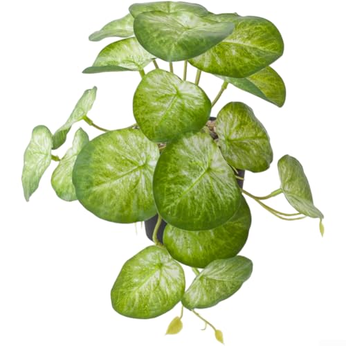 Künstliche Hängepflanze Bonsai mit natürlichem Blatt-Aussehen, stabiles Kunststoffmaterial, geeignet für Innendekoration auf Schreibtischen, Regalen oder hängenden Displays (J) von NbgrvB