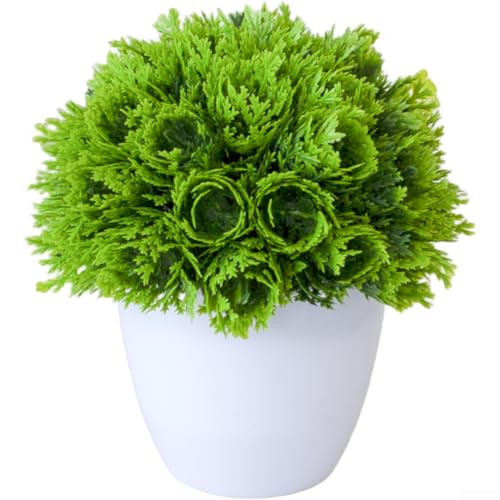 Künstliche Pflanze Bonsai Gras Ball aus Kunststoff für Desktop Ornament und realistisches Aussehen (C) von NbgrvB
