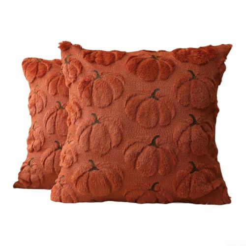 NbgrvB Weiche Plüsch-Kürbisse Herbst Kissenbezüge Herbst Plüsch Dekorative Kissenbezug Gemütliche Herbst Kissenbezüge Für Sofa Zimmer Deko (Orange) von NbgrvB
