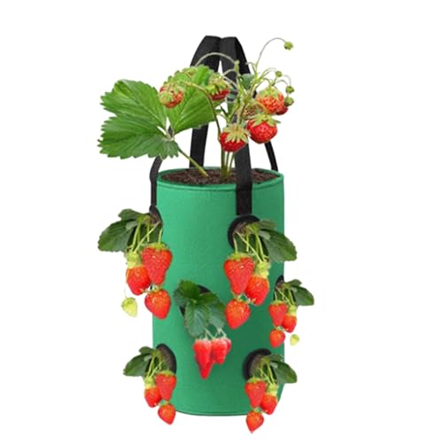 Neamou 1 stück Erdbeeren Pflanzen Pflanztaschen für Draußen, Erdbeerpflanzen Pflanzbeutel mit 12 Löchern, Kartoffel Pflanzsack für Kartoffeln, Vertikaler Garten Pflanzsäcke für Draussen Tomaten von Neamou