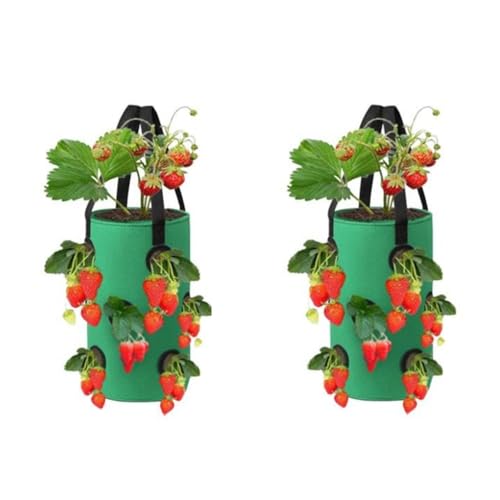 Neamou 2 stück Erdbeeren Pflanzen Pflanztaschen für Draußen, Erdbeerpflanzen Pflanzbeutel mit 12 Löchern, Kartoffel Pflanzsack für Kartoffeln, Vertikaler Garten Pflanzsäcke für Draussen Tomaten von Neamou