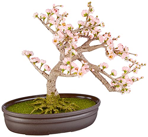 Nearly Natural 4764 Kirschblüten-Bonsai-Seidenbaum, 38 cm, Rosa von Nearly Natural