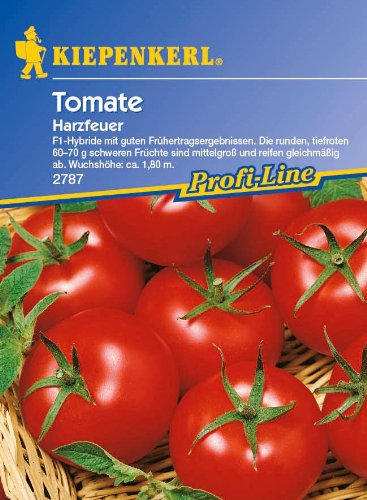 Sämereien Tomaten Harzfeuer PG G von Nebelung