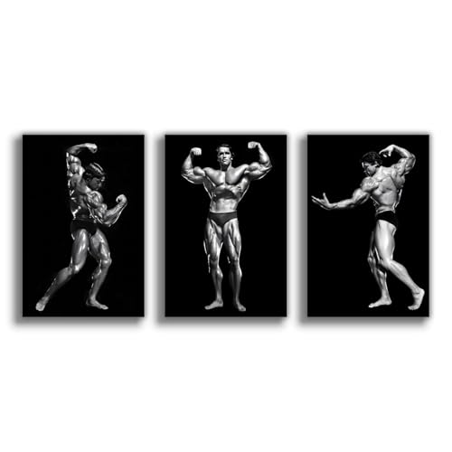 NebulaNova Set of 3 Arnold Schwarzenegger Poster Leinwand Poster Schlafzimmer Dekoration Landschaft Büro Raumdekoration Geschenk Unframe-style 16x24inch(40x60cm) von NebulaNova